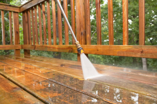 Best Gutter Cleaning  in Brandon, MS